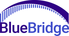 BlueBridge Networks